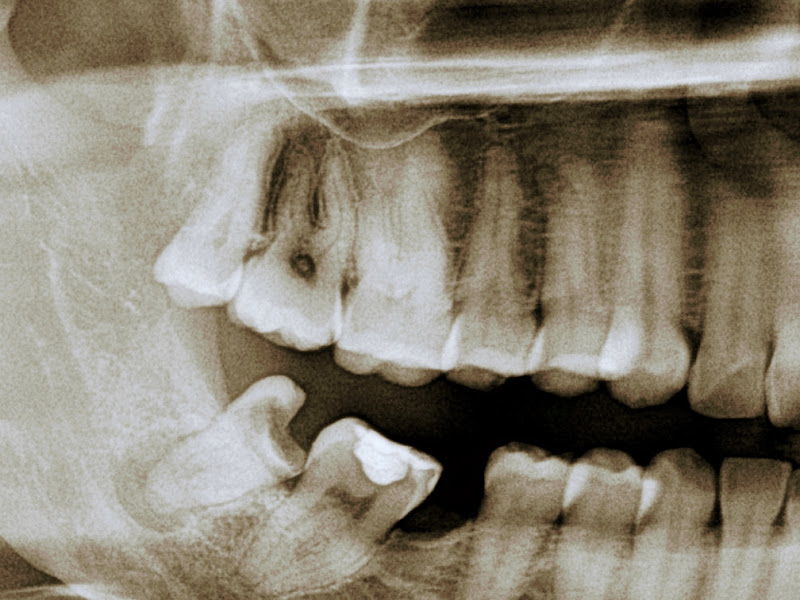 Foto de Geovana Xavier Odontologia