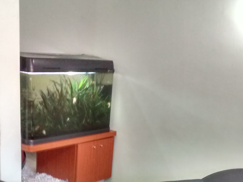 Foto 3 de Gestos - Grupo de Estudos Ortodônticos e Serviços - Dentista Araraquara