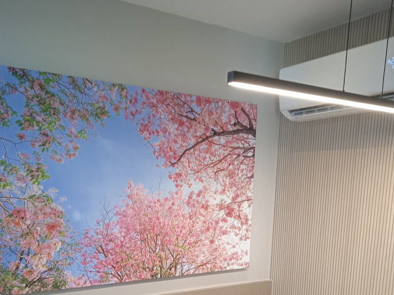 Foto 3 de Giannandrea Trindade Ribeiro