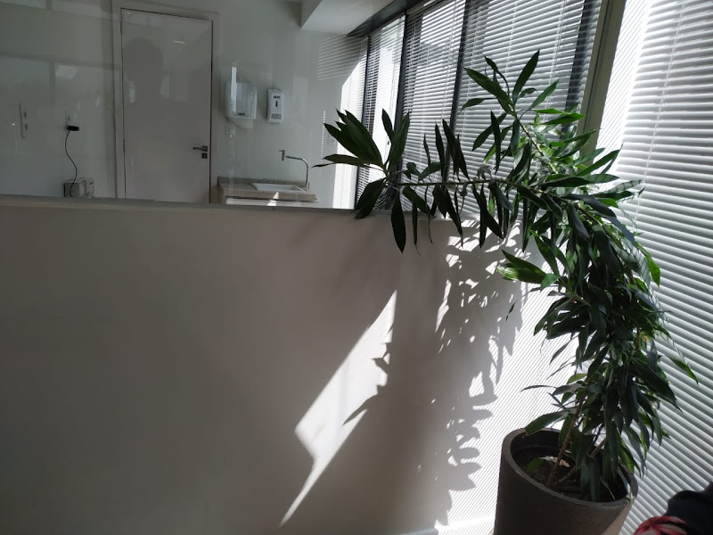 Foto 2 de Gm Odontologia