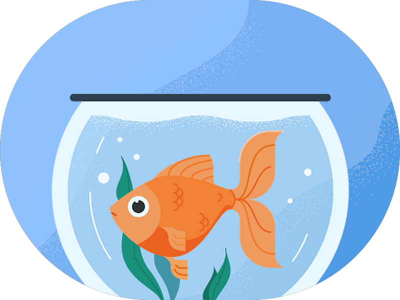 Foto 4 de GOU Odonto Franca