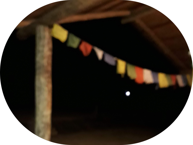 Foto 2 de GRUPO ORIS : Periodontia e Halitose