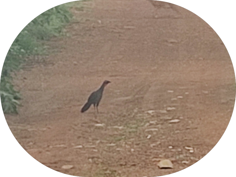 Foto 6 de GS Centro clínico e Odontológico Garcez Santos