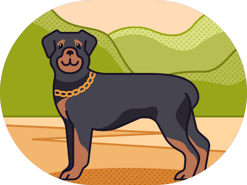 Foto 5 de Guerreiro Clinic