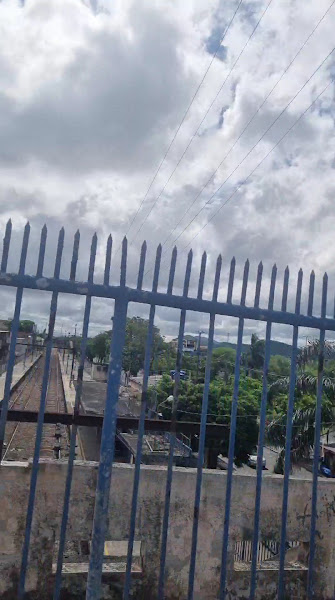 Foto 3 de Guilherme Da Silveira