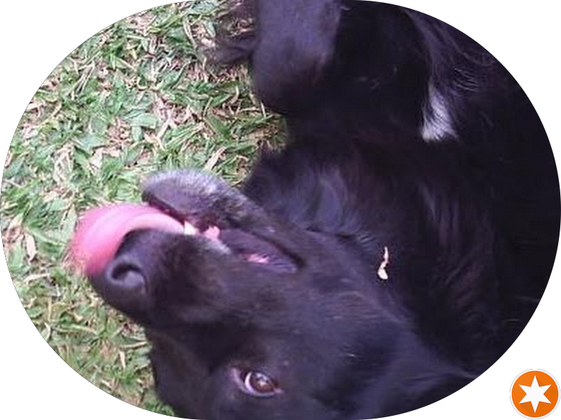 Foto 4 de Gustavo Koda