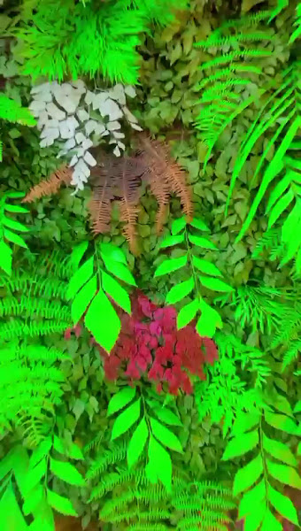 Foto 3 de HDentes - Clínica Odontológica Particular