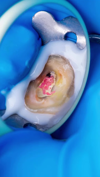 Foto 3 de Heaven Odontologia - Dra Sandra Brito