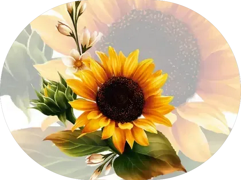 Foto 6 de HELP DENTE URGÊNCIA ODONTOLÓGICA