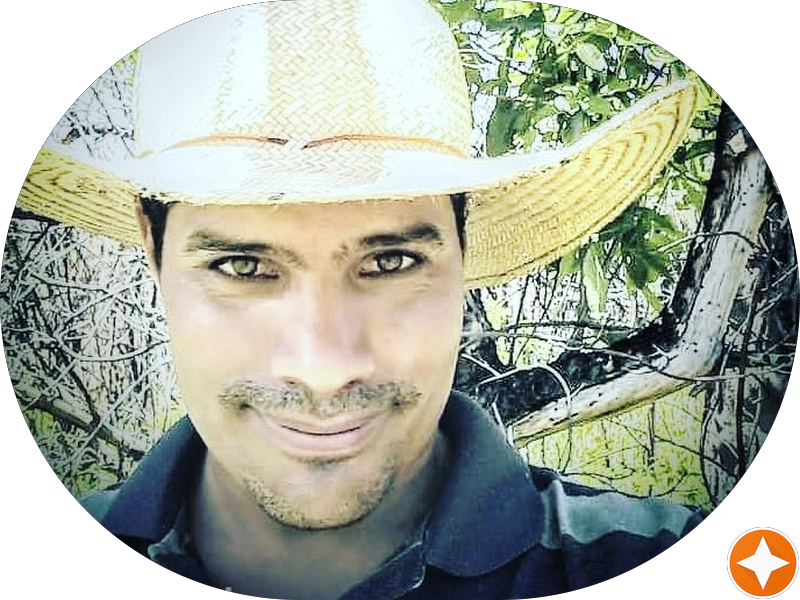 Foto 5 de HL Odontologia