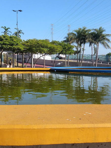 Foto 2 de Honório Gurgel