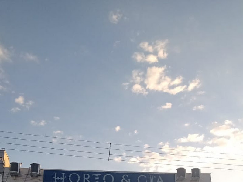 Foto 3 de HORTODESC