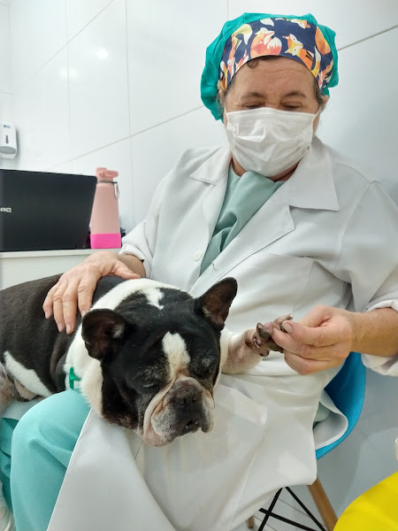 Foto 2 de Hospvam-Hospital Veterinário Amadeu Marinho | Odontologia |Emergência 24 hs