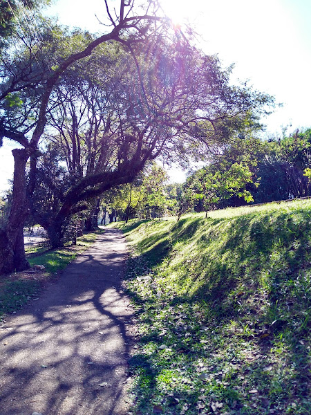 Foto 2 de Hugo Lange