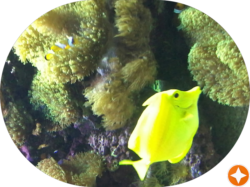 Foto 2 de Hugo Trevisi