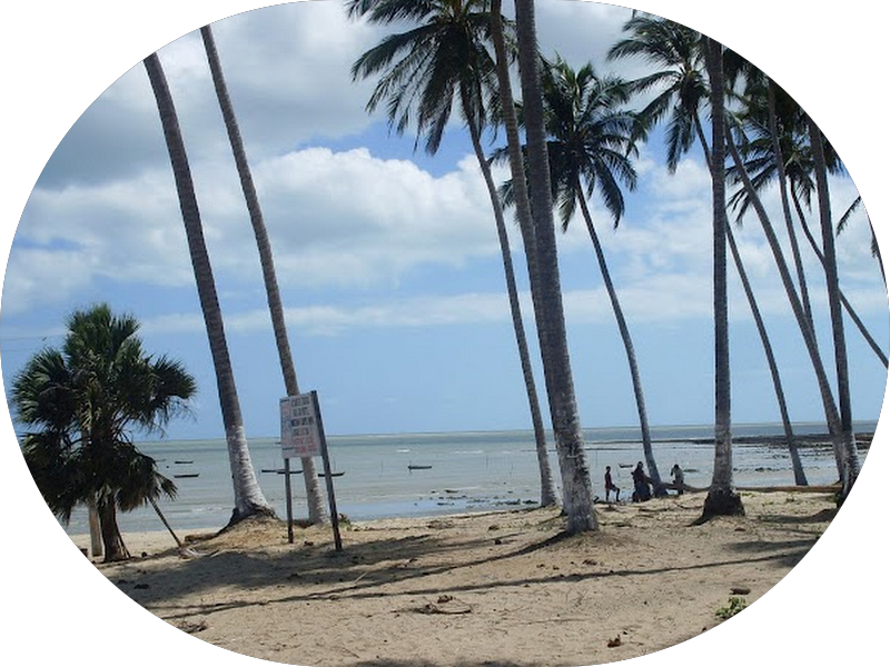 Foto 3 de Humà Odontologia | Ortodontista em Goiânia