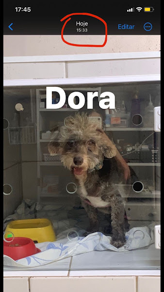 Foto 3 de HVP - Rua 12