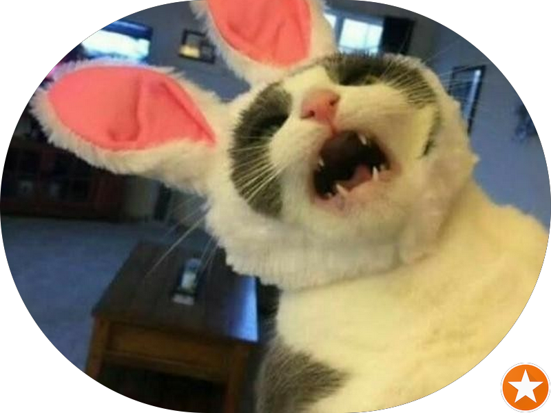 Foto 2 de I3 ODONTO - Odontologia Especializada