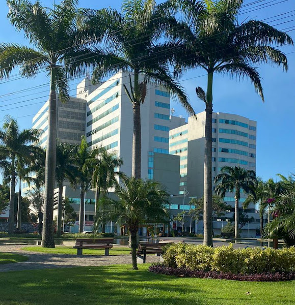 Foto 4 de Ideality Especialidades Odontológicas