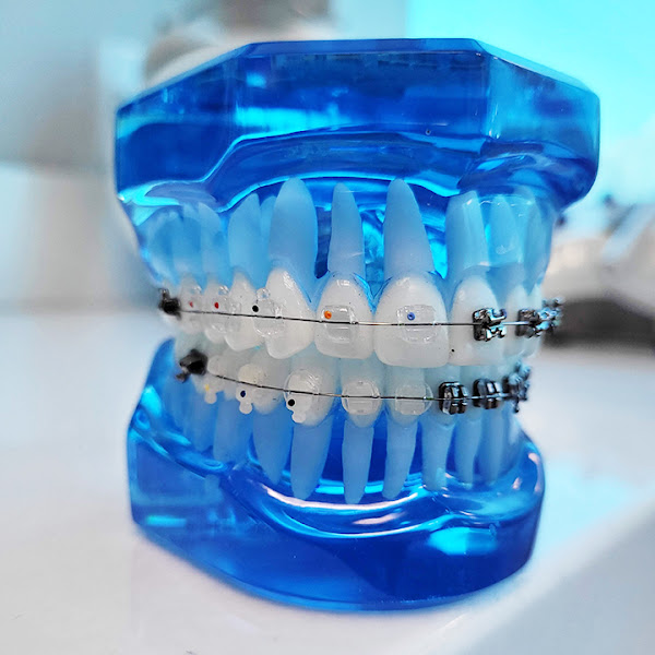 Foto 3 de Idealle Odontologia