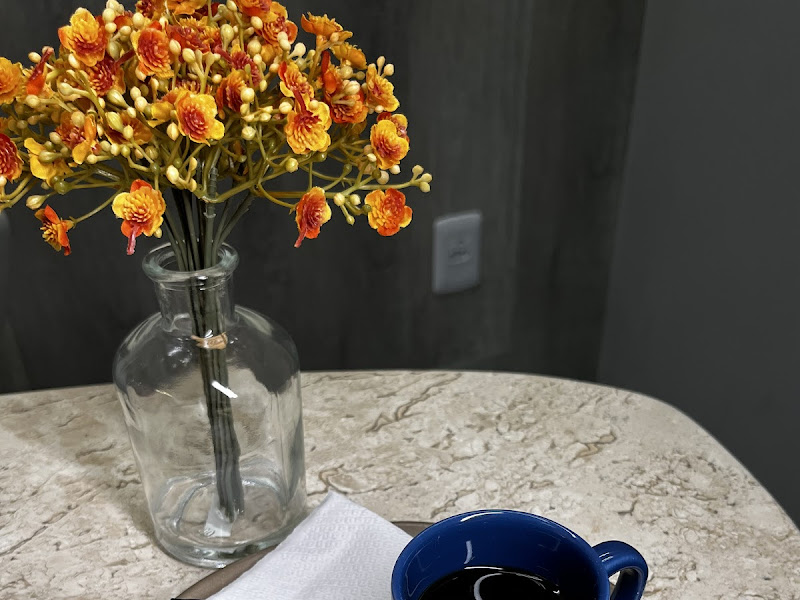 Foto 3 de IDF- Implante Dentário Fácil