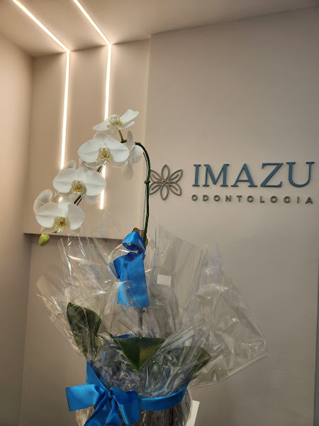 Foto 3 de Imazu Odontologia