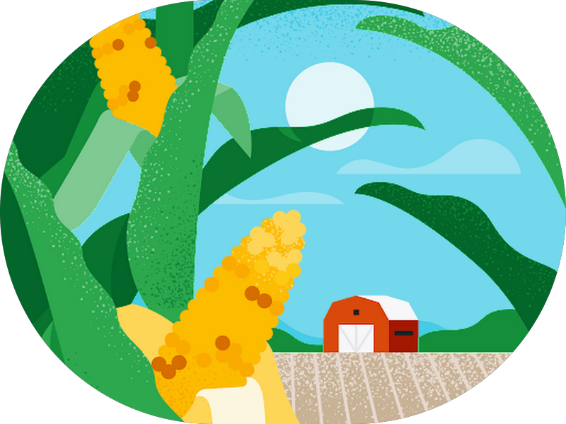 Foto 4 de Immab Odontologia | Dentista em Taubaté/Tremembé