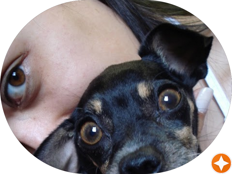 Foto 3 de IMPERIO AGROPECUARIA