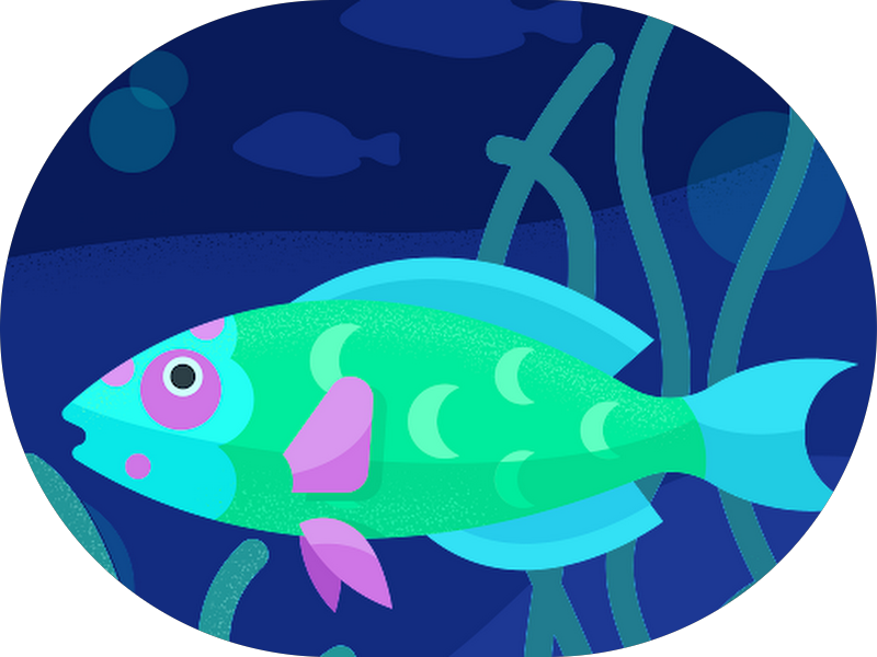 Foto 5 de Implant Center