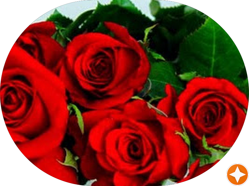 Foto 5 de Implantares Odontologia