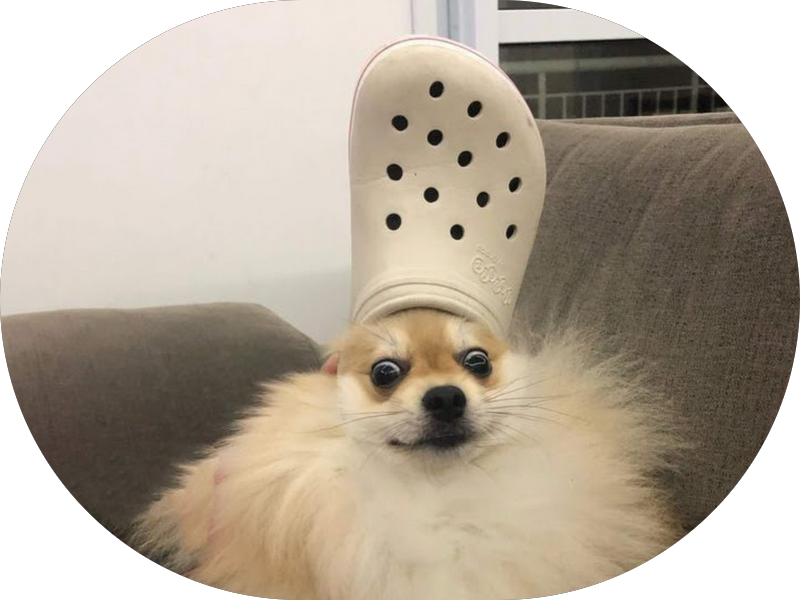 Foto 6 de Implante Dentário | Alinhador invisível SouSmile | Rise Odontologia | Campestre - Santo André