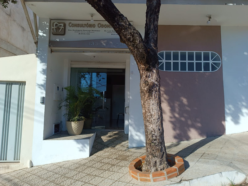 Foto 2 de Implante Dentário | Consultório Odontológico | Dra Rosângela Gonzaga