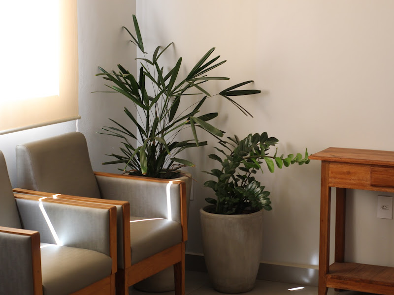 Foto 2 de Implante Dentário | Lentes Em Resina | Sorria de Novo | Franca - SP