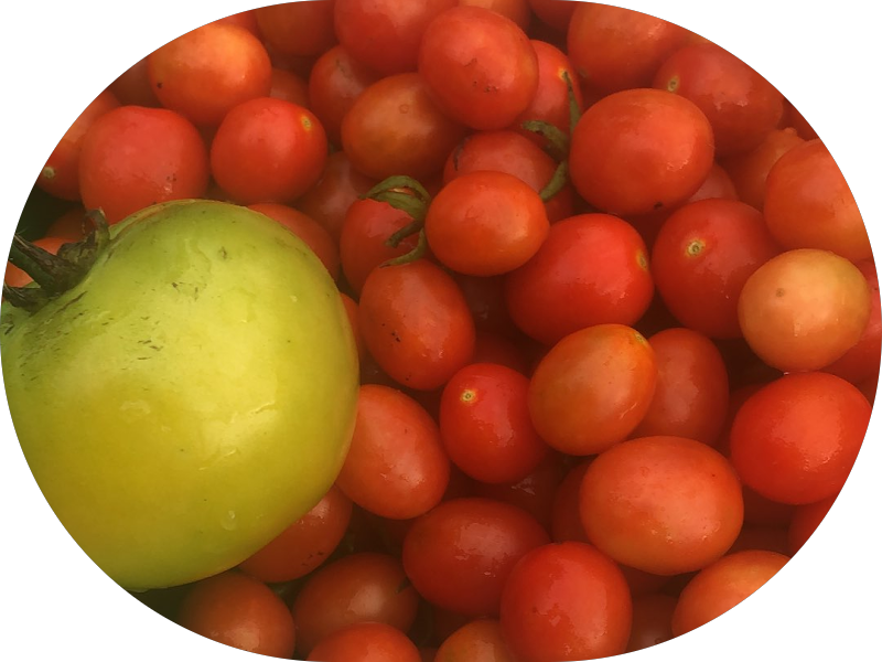 Foto 5 de In Art Odontologia