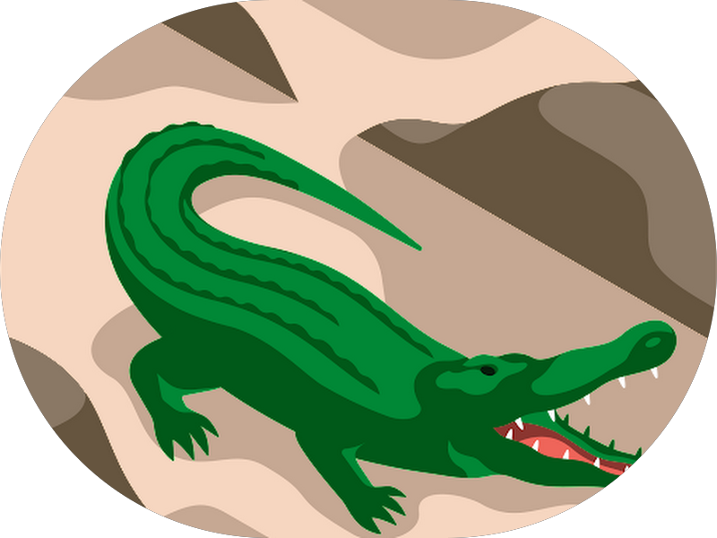 Foto 5 de Infinite Odontologia Integrada | Bruxismo - SouSmile - Implante Dentário em Niterói