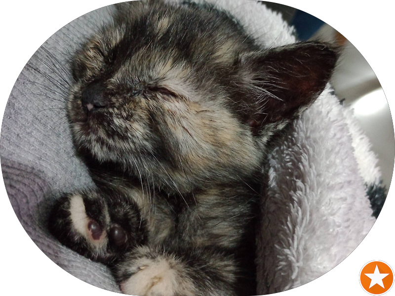 Foto 4 de Infinity Clínica Odontológica