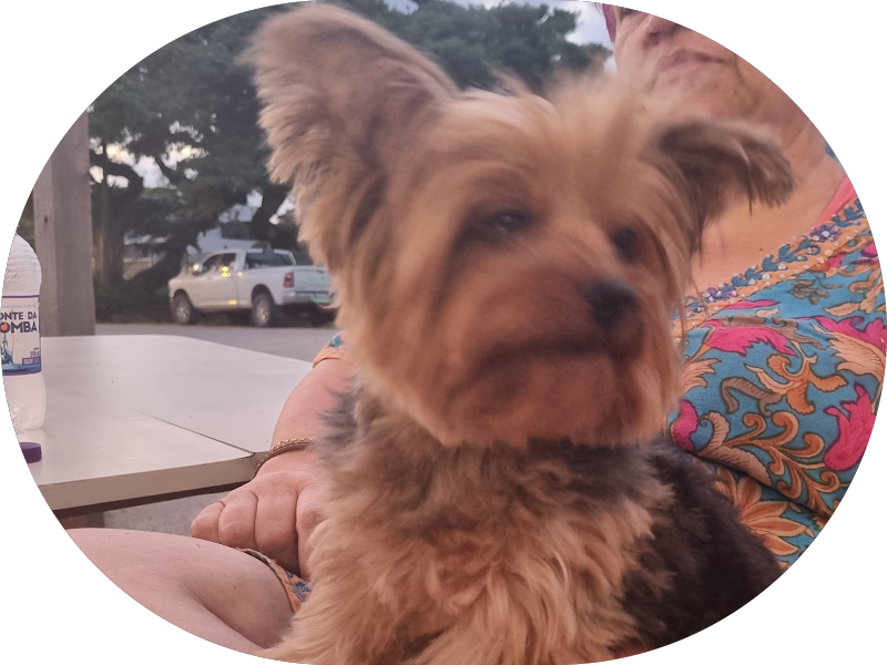 Foto 4 de Innovate Clínica Odontológica