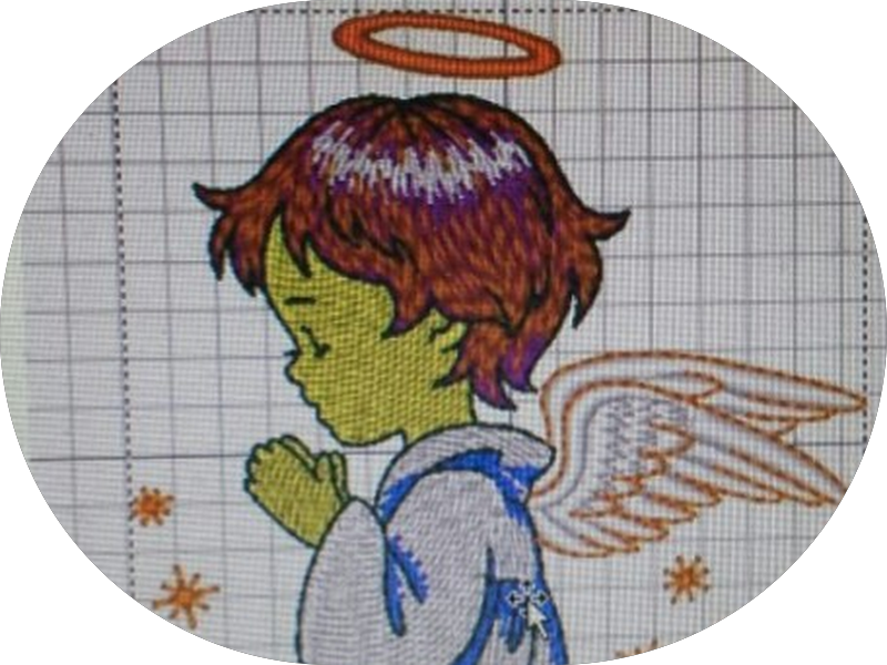 Foto 2 de Instituto De Saúde Vicente Pires