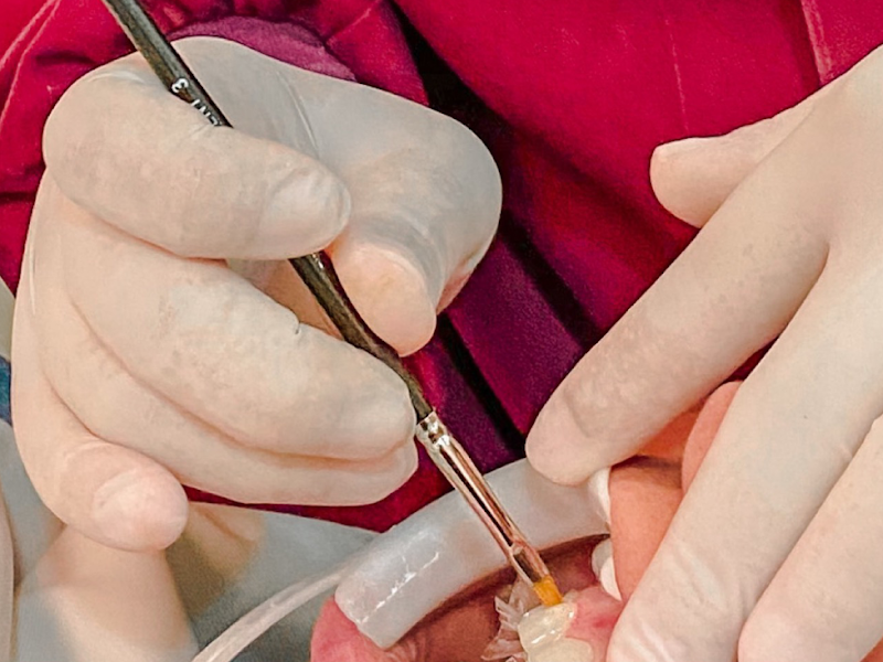 Foto 5 de Instituto Odontológico Drs. Flavio e Silvana Menezes