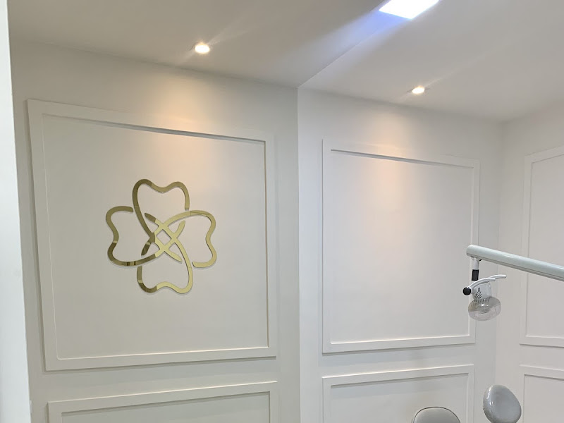 Foto 10 de Instituto Odontologico Premier