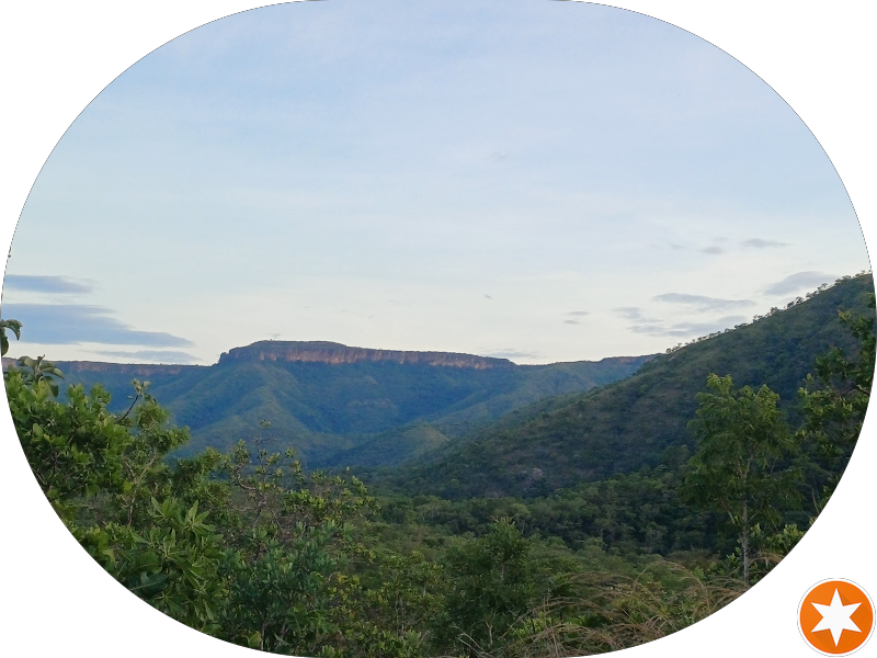 Foto 2 de Instituto Petterle