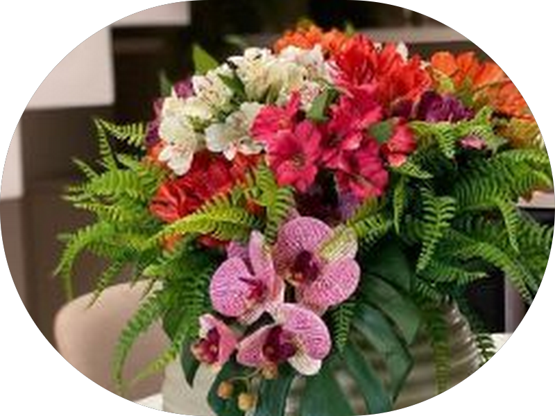 Foto 6 de Integra - Clinica de Odontologia e Estética