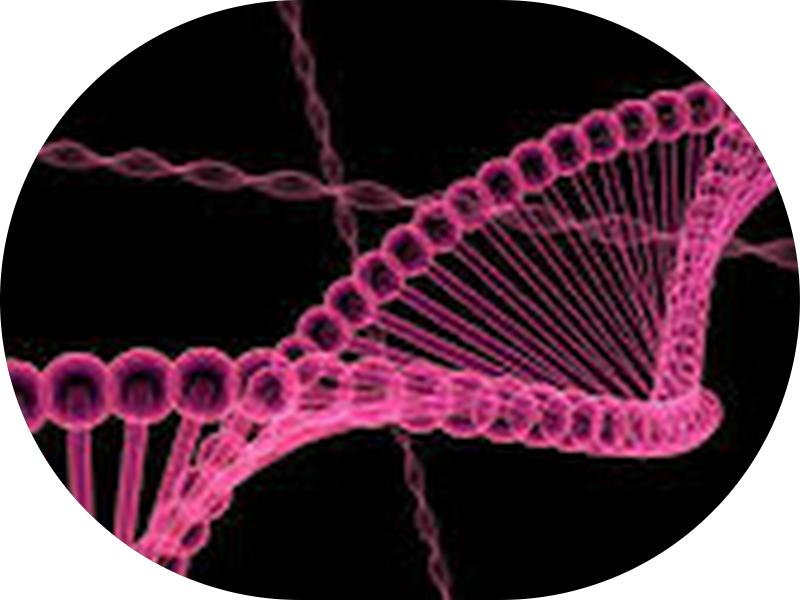 Foto 4 de Inter Sorriso Clínica Odontológia