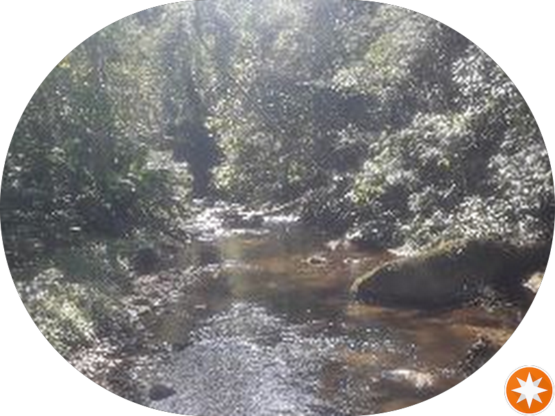 Foto 5 de IOA/ITC Jardins São Paulo - Instituto Orofacial das Américas