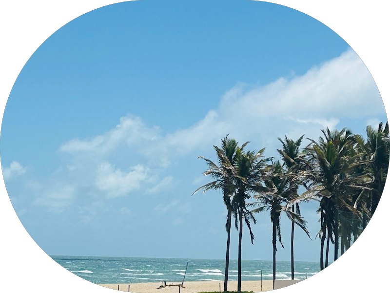 Foto 5 de IOAP Fátima • Instituto de Odontologia em Alta Performance