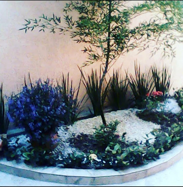 Foto 2 de Jardim Rosa de Franca