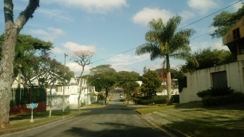 Foto 2 de Jardim Social