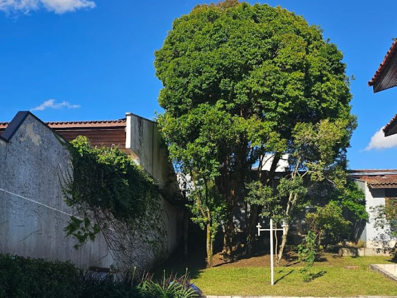 Foto 3 de Jardim Social