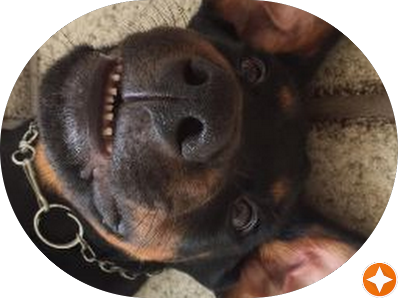 Foto 3 de João Batista Briano