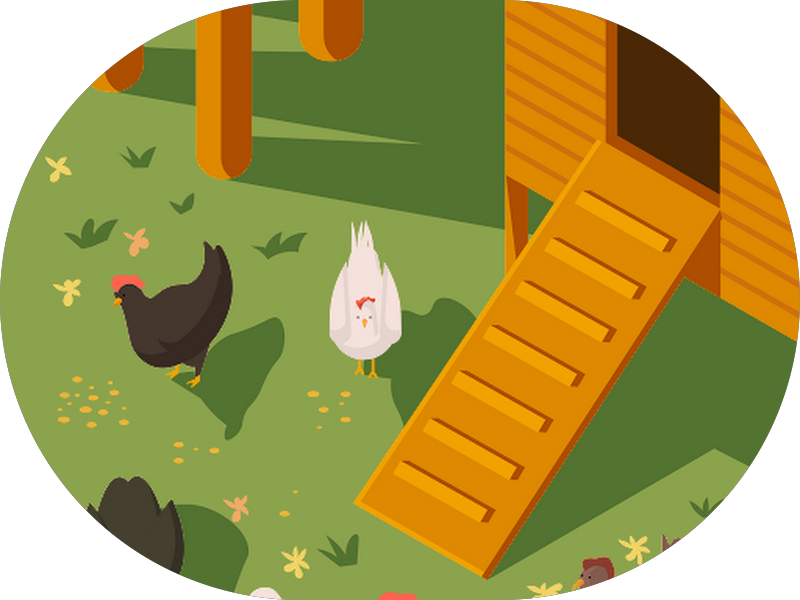 Foto de Joaquim Souza de Castro